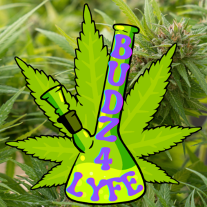 A green bong graphic with the words "BUDZ 4 LYFE" overlayed on a cannabis leaf, with a blurry cannabis plant background.
