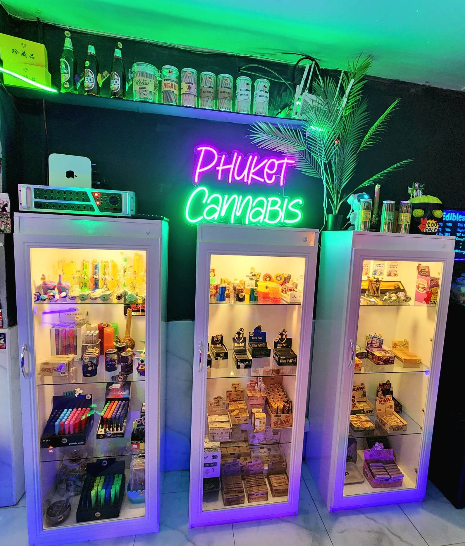 cannabis farm tour phuket