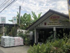 Exterior of SKP Cannabis, a weed shop with 