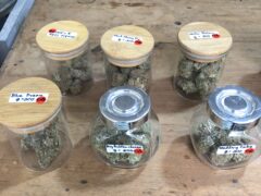 Cannabis flower strains: Blue Dream, Zombie Cake, Black Cherry Pie, Watermelon, Big Buddha Cheese, Wedding Cake at SKP Cannabis.