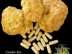 Green Farm Lions Mane capsules. เขียว ฟาร์ม 42, cannabis dispensary in Khon Kaen, Thailand.