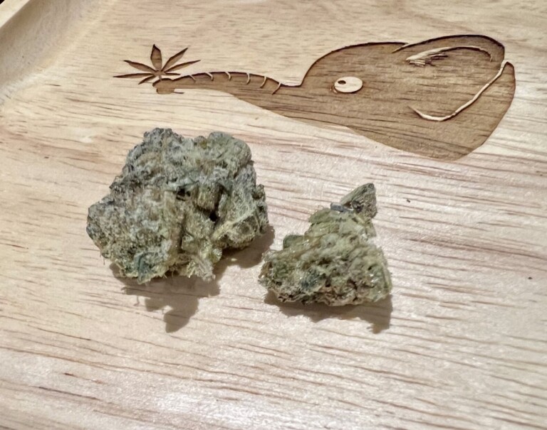 Two buds of green and brown cannabis on a wooden tray with a carved elephant design.