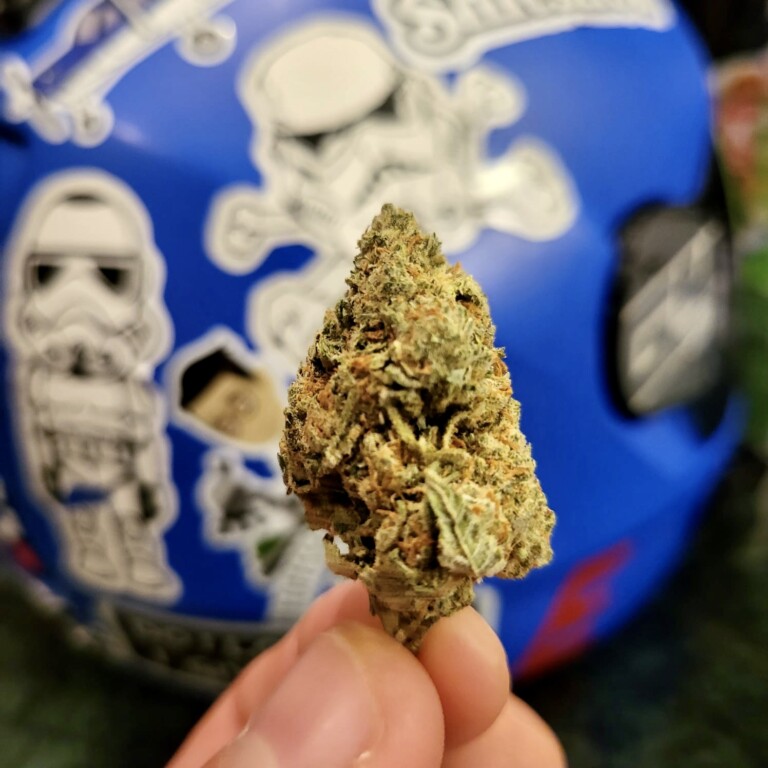 A hand holding a cannabis bud, with a blue surface covered in white Stormtrooper stickers in the background.