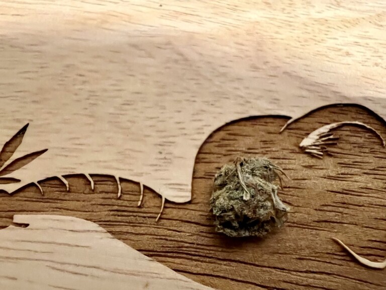 A small, green bud on a wooden surface with engraved decorative shapes.