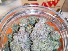 Cannabis flower in a jar, 7th Heaven Koh Chang 2, White Sands Beach.