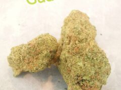 Cannabis flower buds, 