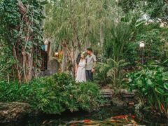 Garden scene at the Oasis Hotel in Bangkok, Thailand, with pond and Koi fish.