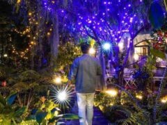 Person walking through a lit garden at Gas9Exotics cannabis cafe in Bangkok, Thailand.