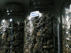 Cannabis flower in jars at Coughing Apes. Weed Cafe in Bang Na, Bangkok, with 
