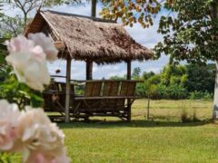 Exterior view of The Oriental Village Chiangmai in Mae On District, Chiang Mai, a cannabis-friendly resort with garden.
