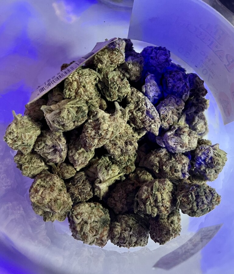 Green and purple marijuana buds in a clear plastic container, lit with a blue hue.