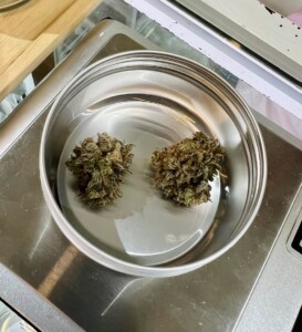 Two cannabis buds in a metal bowl on a digital scale.