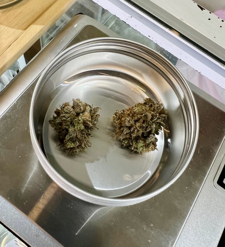 Two cannabis buds in a metal bowl on a digital scale.