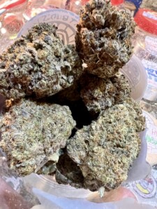Close-up of several buds of cannabis in a plastic container.