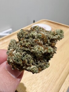 Hand holding a cannabis flower bud.