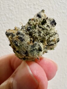 Fingers holding a bud of marijuana.