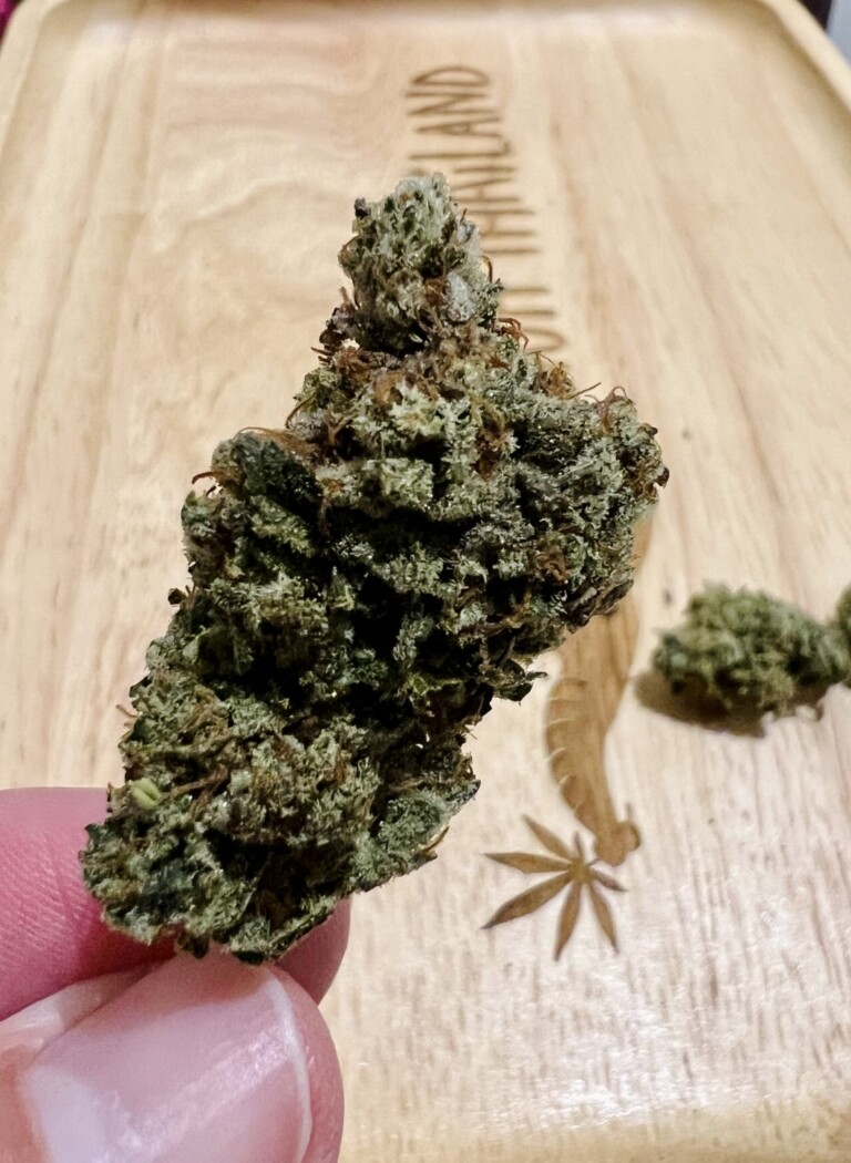 Hand holding a cannabis bud over a wooden tray.
