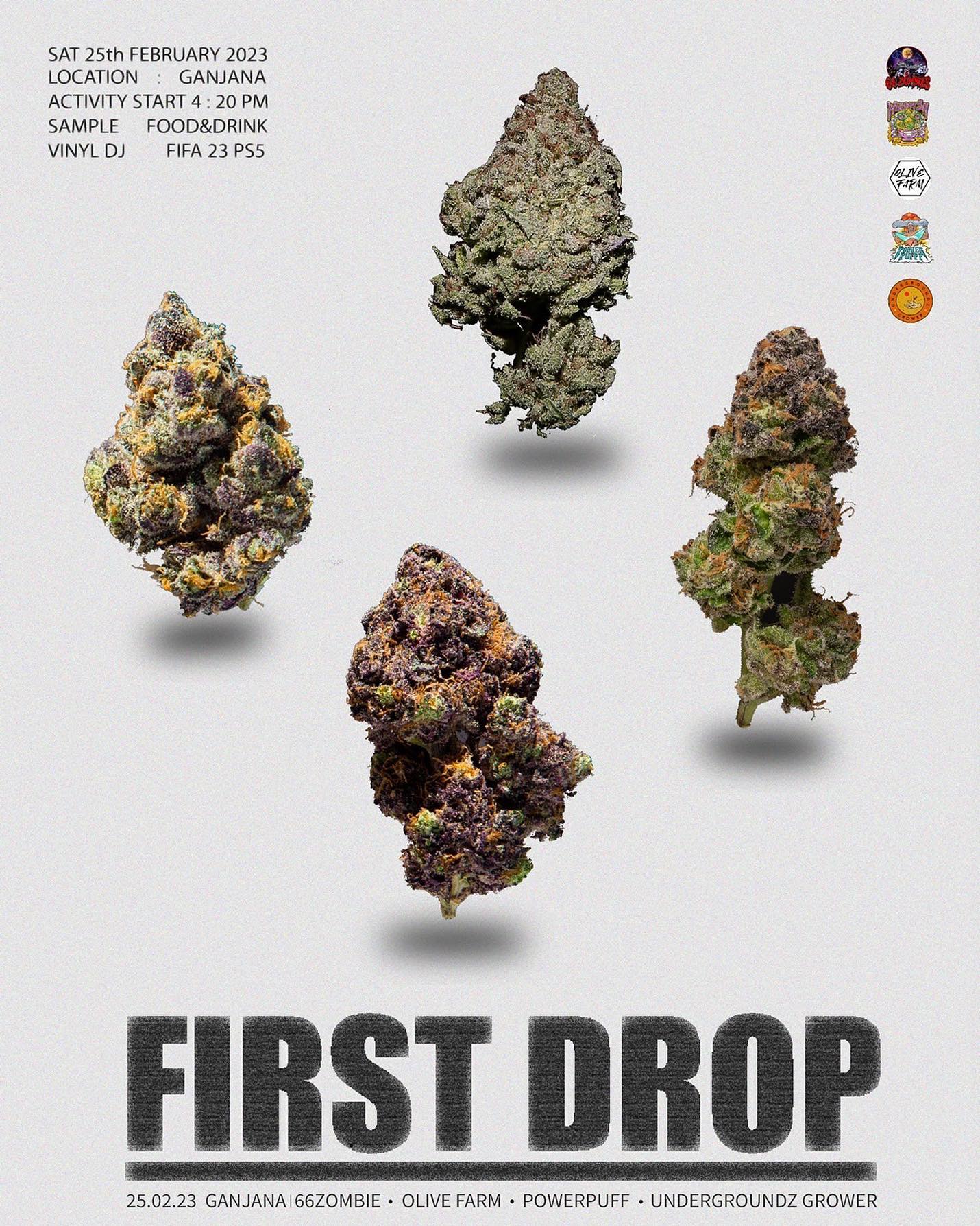 Four cannabis buds, of varying colors, against a light grey background, with event details for 