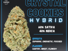 hightopia.th: Crystal Cookies cannabis flower, a hybrid strain (60% Sativa, 40% Indica). Thailand weed.
