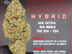 hightopia.th: Strawberry Chemdawg OG cannabis flower; 60% Sativa, 40% Indica, THC 20-25%. Premium weed grown in Thailand.