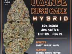 hightopia.th: Orange Kush Cake cannabis flower, a hybrid strain (60% Indica, 40% Sativa) with 21% THC, grown in Thailand.