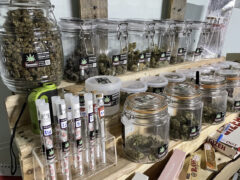 King Cannabis Pattaya: Jars of cannabis flower strains, pre-rolls, and smoking accessories.