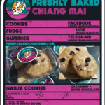 Freshly Baked Chiang Mai