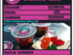Freshly Baked Chiang Mai cannabis gummies menu. Ganja edibles and delivery info, Chiang Mai, Thailand.