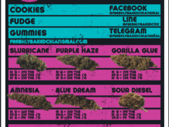 Freshly Baked Chiang Mai menu: Ganja cookies, fudge, gummies, and cannabis flower strains like Slurricane & Gorilla Glue.