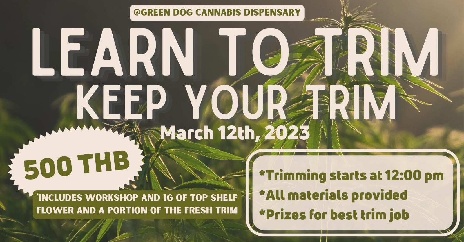 Cannabis dispensary event: "Learn to trim" workshop, March 12, 2023.