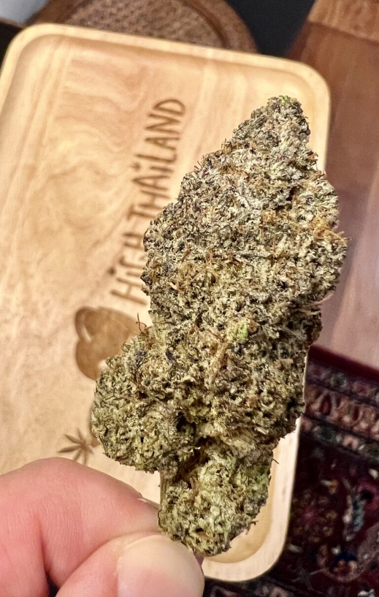 Hand holding a cannabis bud.