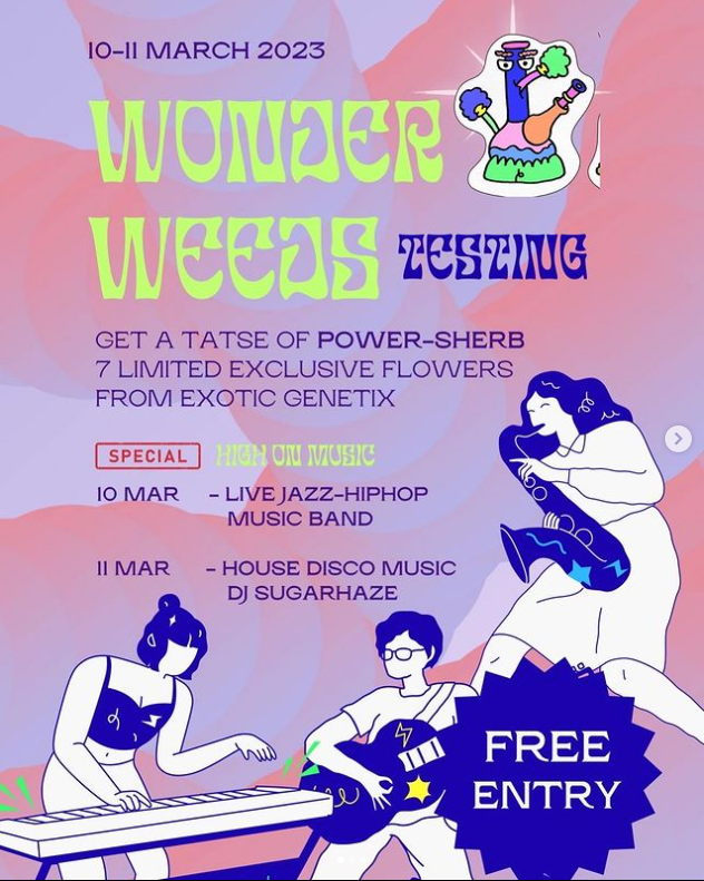 Wonder Weeds Testing" event flyer with musicians and "free entry" details.