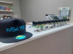 Kush Dee Pattaya cannabis dispensary counter with strain samples (