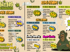 KING CANNABIS Pattaya strain menu: Featuring Diamond Runtz, Purple Chase, and Frisian Dew cannabis flowers.