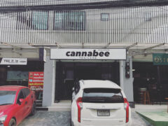 Cannabee Flagship cannabis dispensary exterior in Chiang Mai, Thailand. Organic weed and CBD products.