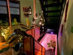 Interior of Amélie cannabis dispensary in Bangkok's Chinatown, stairs with plants and hanging lanterns.