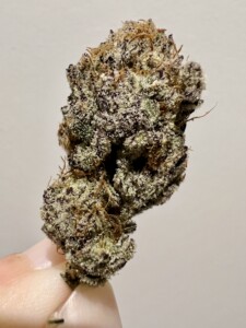 Hand holding a cannabis flower bud.