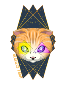 Abstract orange cat face with geometric eyes on a starry black background.