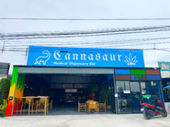 Cannasaur cannabis dispensary and bar in Bang Lamung, Chon Buri, Thailand. Medical marijuana and weed available.