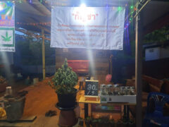 ไร่น้าผี cannabis shop in Tak Fa District, Nakhon Sawan. Cannabis flower display with pricing.