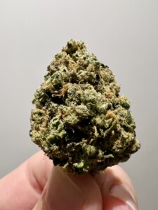 A hand holding a dense bud of green and brown cannabis flower against a gray background.