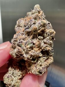 Bud of cannabis, held between two fingers, with purple, green, and white frosted textures.