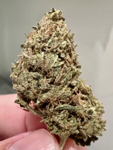 A green and tan cannabis bud held by a person with pale skin.