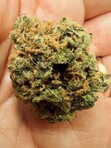 A green and tan cannabis bud held in a hand.