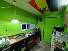 Interior of Baansuan Phuket Cannabis Center in Mai Khao, Phuket, with cannabis flower jars, Rastafarian flag, and smoking accessories.