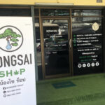 Bongsai Shop: Medical Cannabis Dispensary