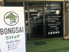 Exterior of Bongsai Shop medical cannabis dispensary in Pattaya City, Thailand, with logo and shop details.