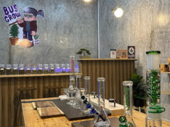 Busgrow cannabis shop interior, showing bongs and smoking accessories.