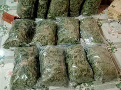 Bags of cannabis flower at ทีเดียวรู้เรื่อง BY ซ้อแพรวา, Khon Kaen, Thailand. Weed products.