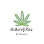 Green cannabis leaf with stylized text: "กัญชาดีดี" below it, and "by Chanchan" below that.